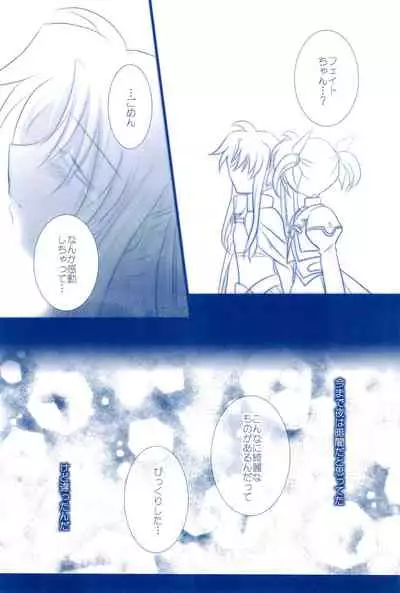 (C85) [Ameiro (Nanashiki)] Love Forever -NanoFei nano Sairoku-shuu 2- (Mahou Shoujo Lyrical Nanoha)