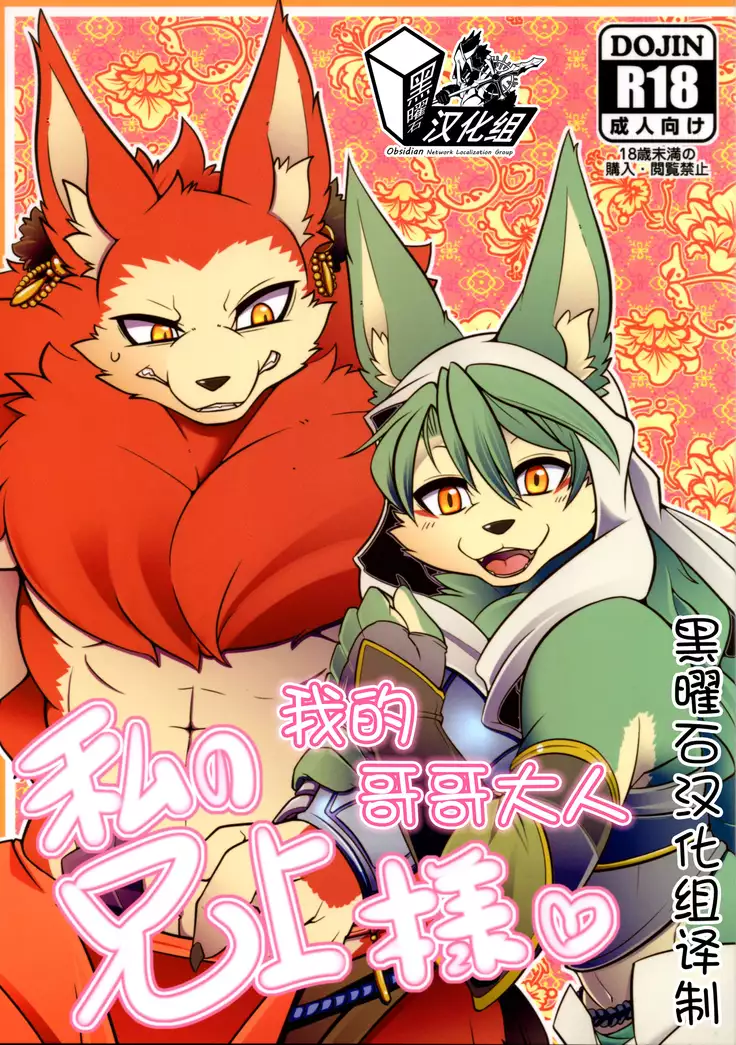 Watashi no Aniue-sama | 我的哥哥大人❤