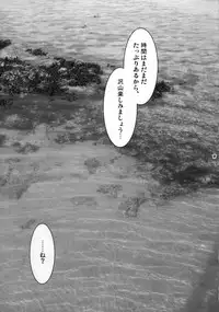 (C72) [Harem (Mizuki Honey)] Bang! Bang! Vacation! (Street Fighter)