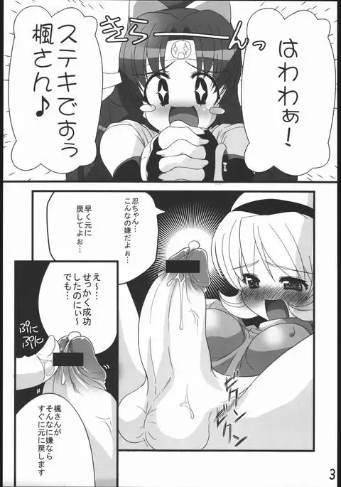 Ninpou Ranchiki Sawagi!